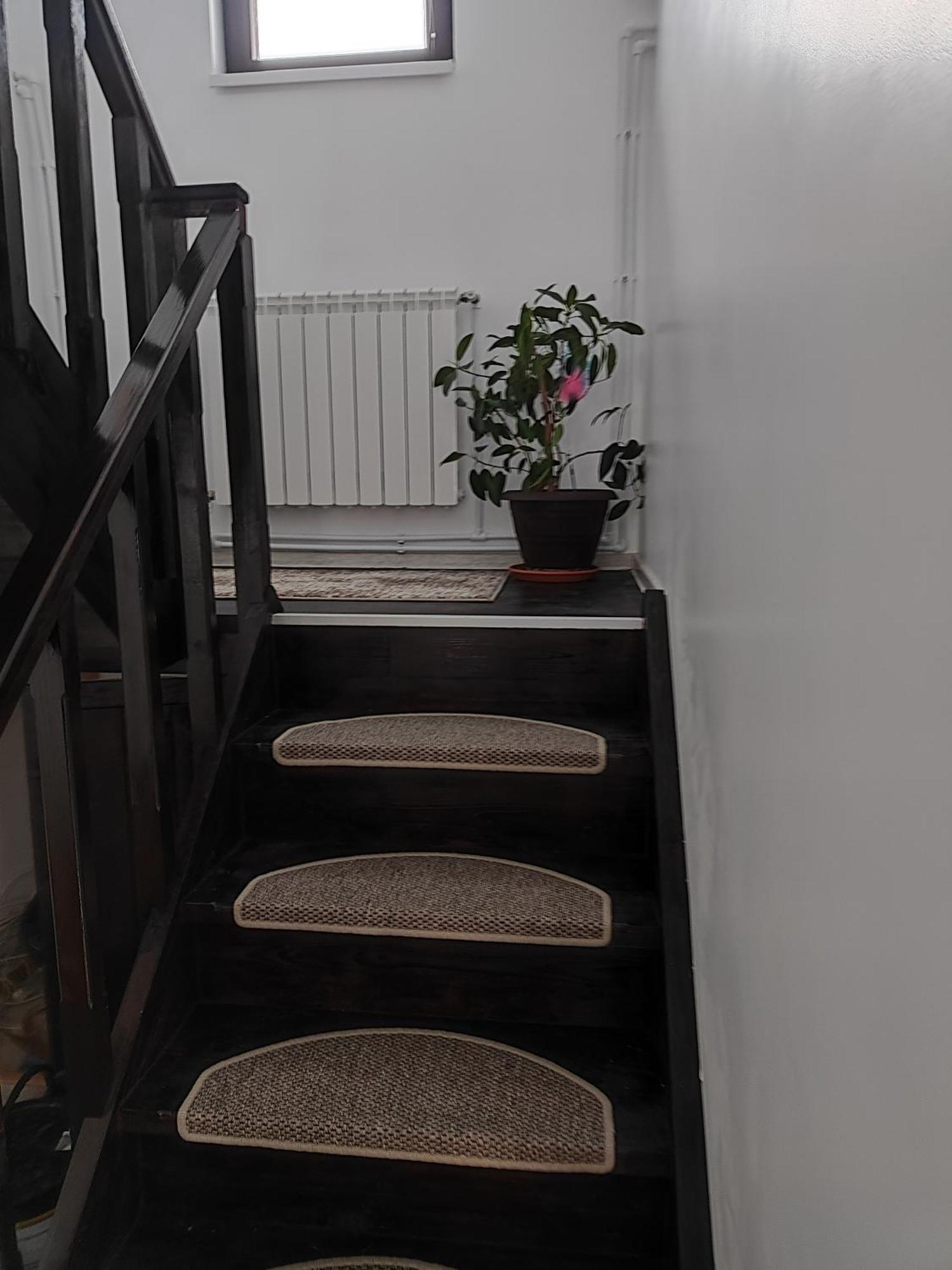 Vila Raisa Neagra Sarului Ngoại thất bức ảnh